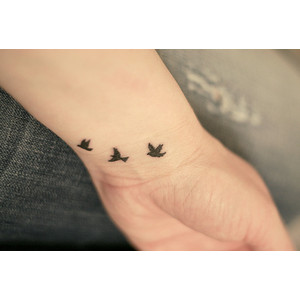 birdsonwrist