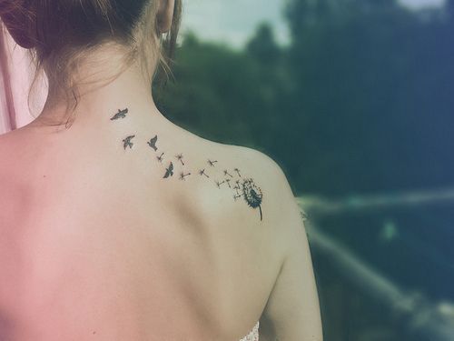 tumblr_lhsazk6xC11qftyn6o1_500_large